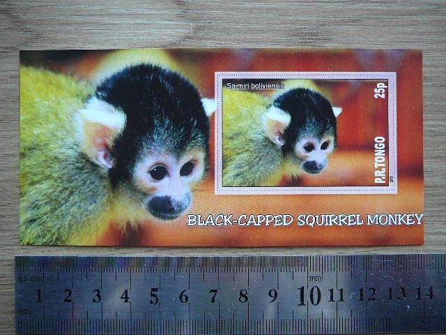 Bezdziones Tonga 2010 svarus #08