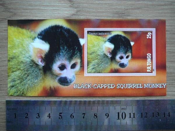 Bezdziones Tonga 2010 svarus #08