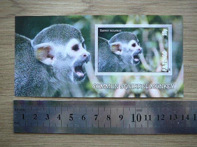 Bezdziones Tonga 2010 svarus #09