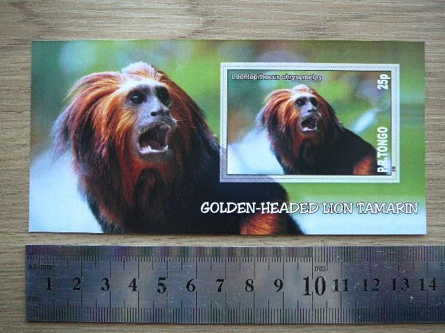 Bezdziones Tonga 2010 svarus #10