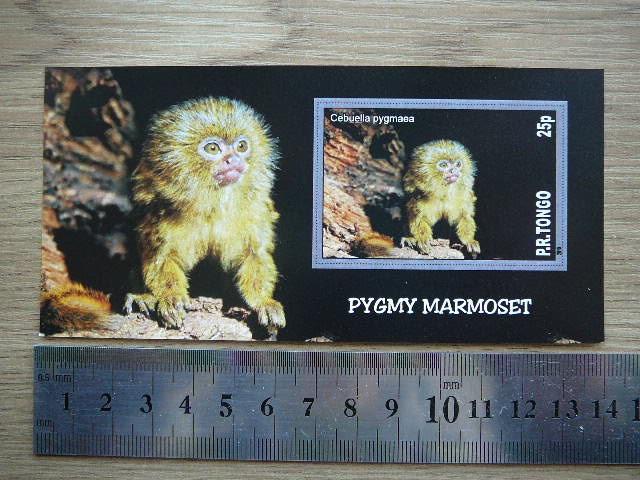 Bezdziones Tonga 2010 svarus #11