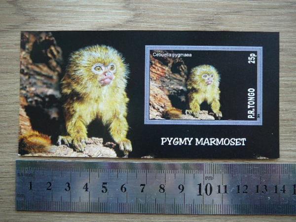 Bezdziones Tonga 2010 svarus #11