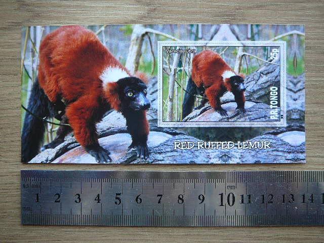 Bezdziones Tonga 2010 svarus #12