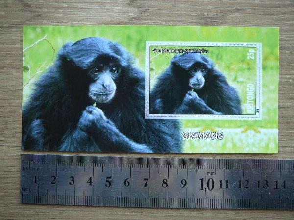 Bezdziones Tonga 2010 svarus #13