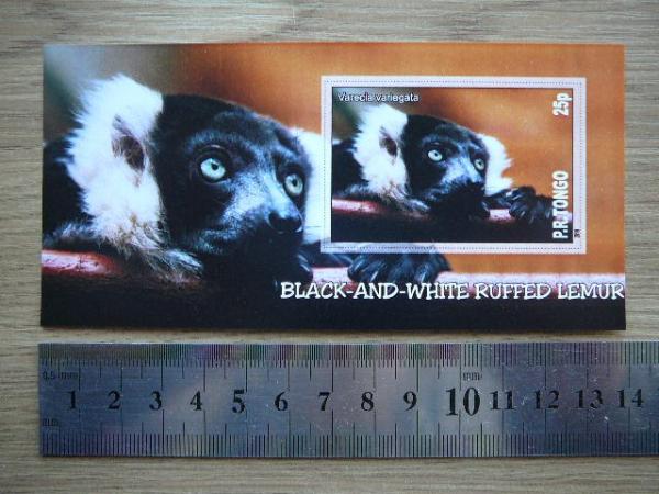 Bezdziones Tonga 2010 svarus #14