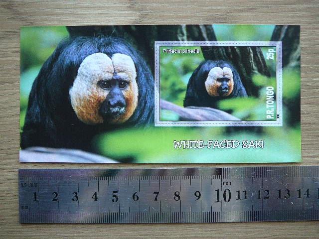 Bezdziones Tonga 2010 svarus #15