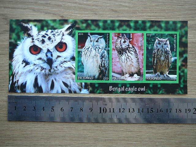 Peledos Tonga 2010 svarus #81