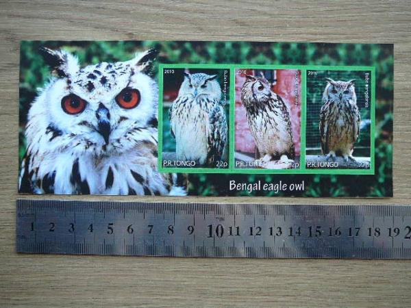 Peledos Tonga 2010 svarus #81