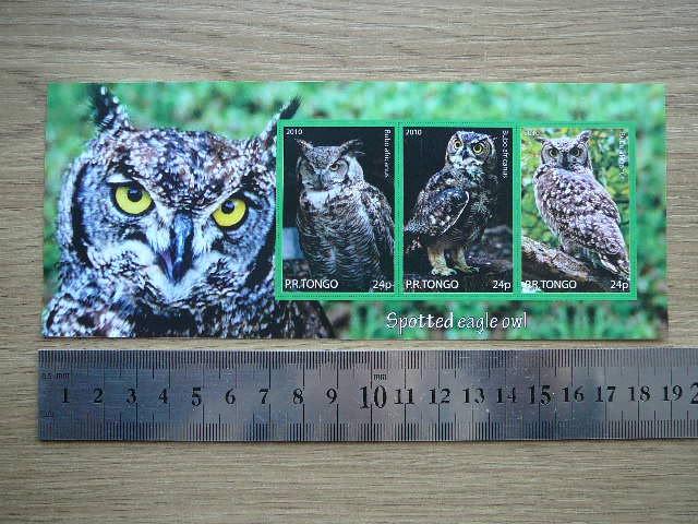 Peledos Tonga 2010 svarus #83