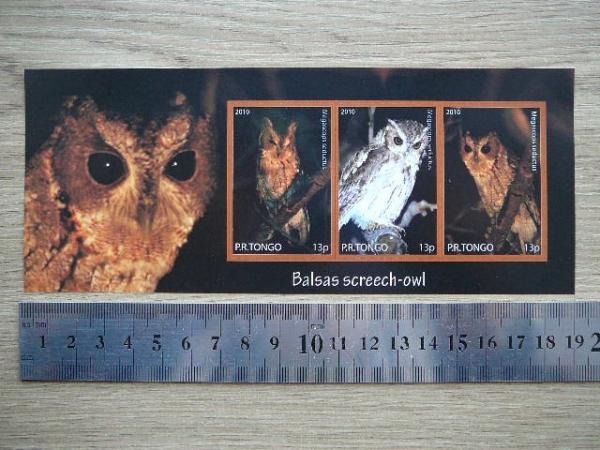 Peledos Tonga 2010 svarus #84