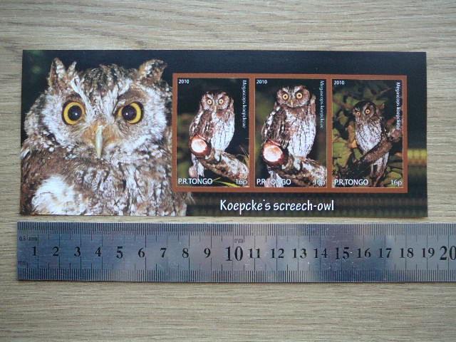 Peledos Tonga 2010 svarus #85