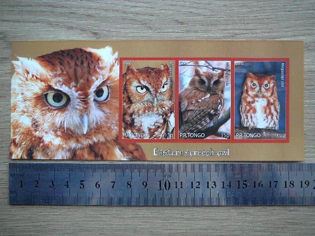 Peledos Tonga 2010 svarus #86