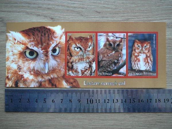 Peledos Tonga 2010 svarus #86