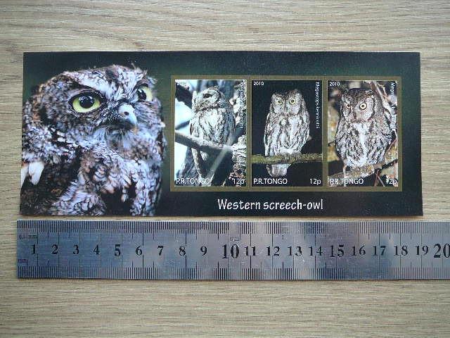 Peledos Tonga 2010 svarus #87