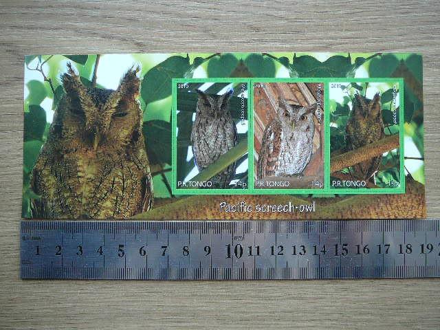 Peledos Tonga 2010 svarus #88