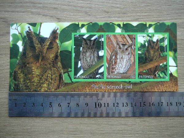 Peledos Tonga 2010 svarus #88