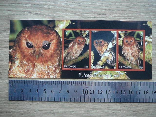 Peledos Tonga 2010 svarus #89