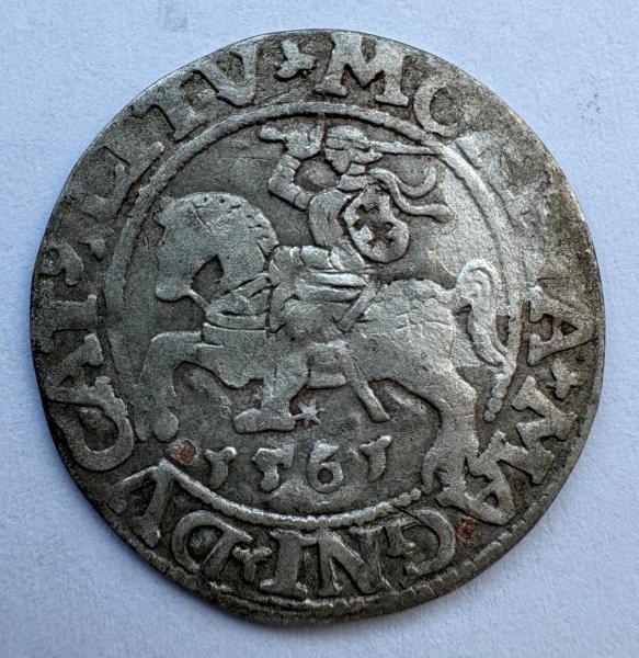 Žygimanto Augusto 1561 pusgrašis