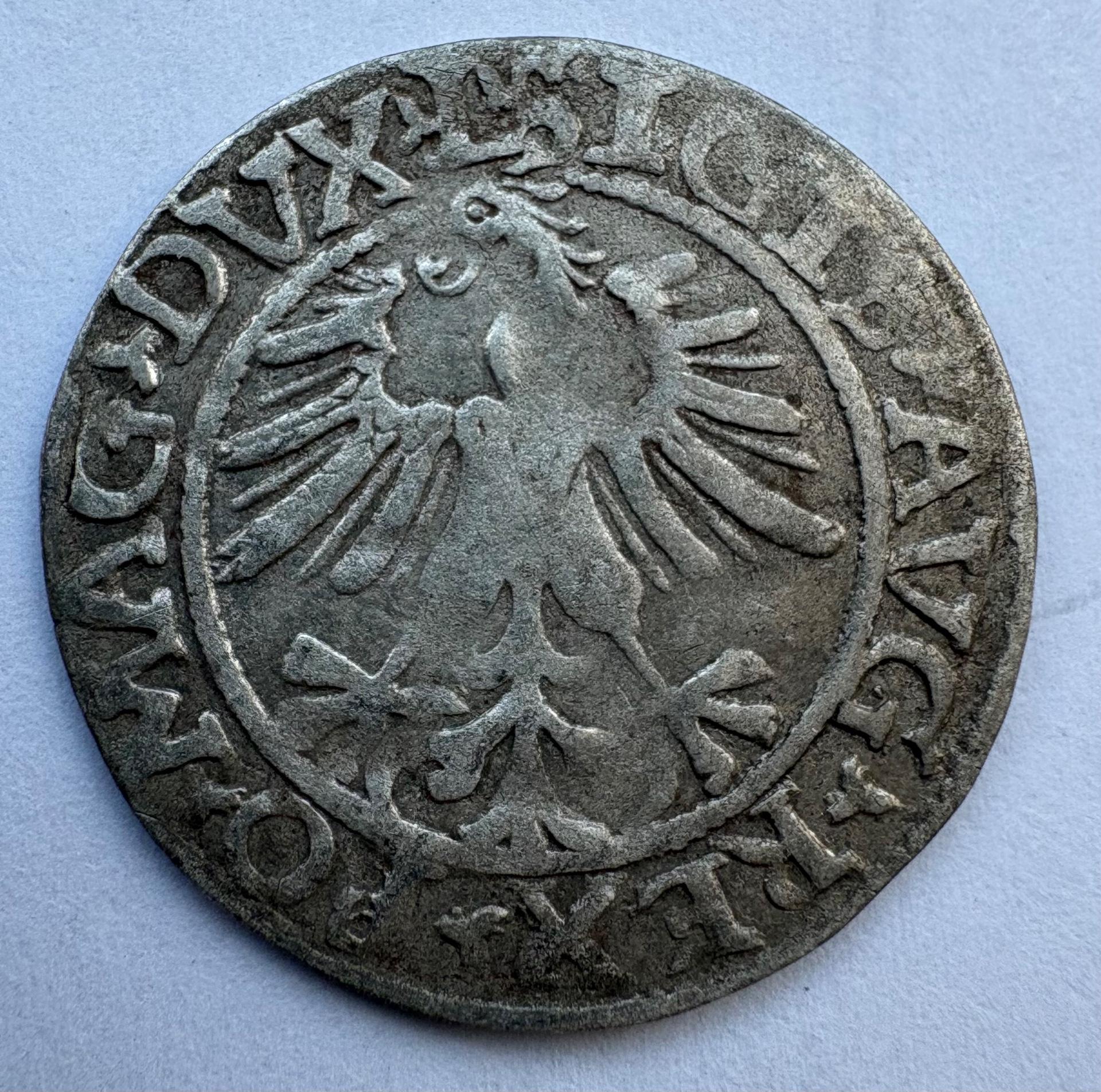 Žygimanto Augusto 1561 pusgrašis