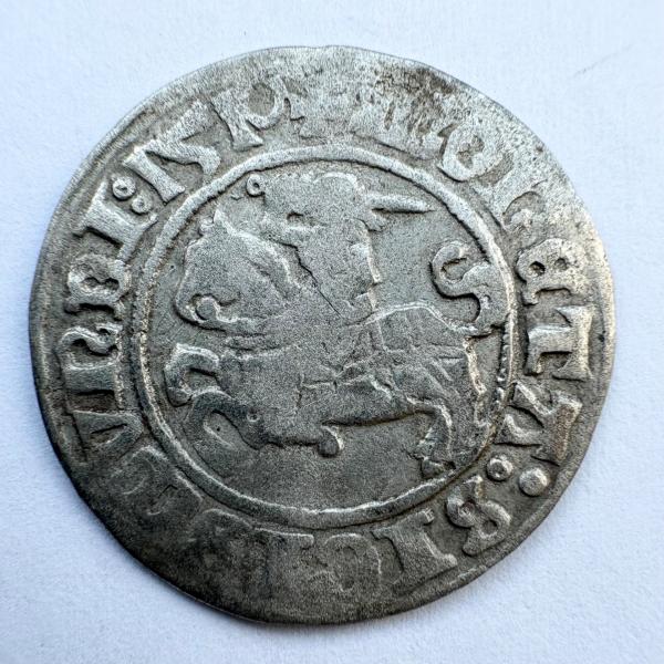 Žygimanto Augusto 1510 pusgrašis