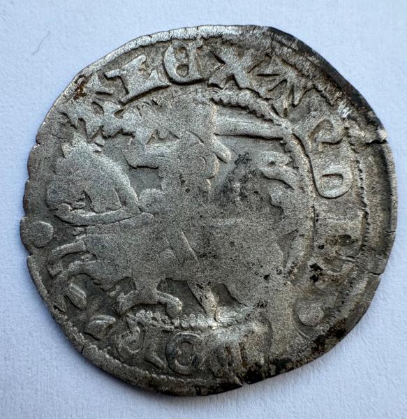 Aleksandro Jogailaičio gotikinis pusgrašis 1495-1606