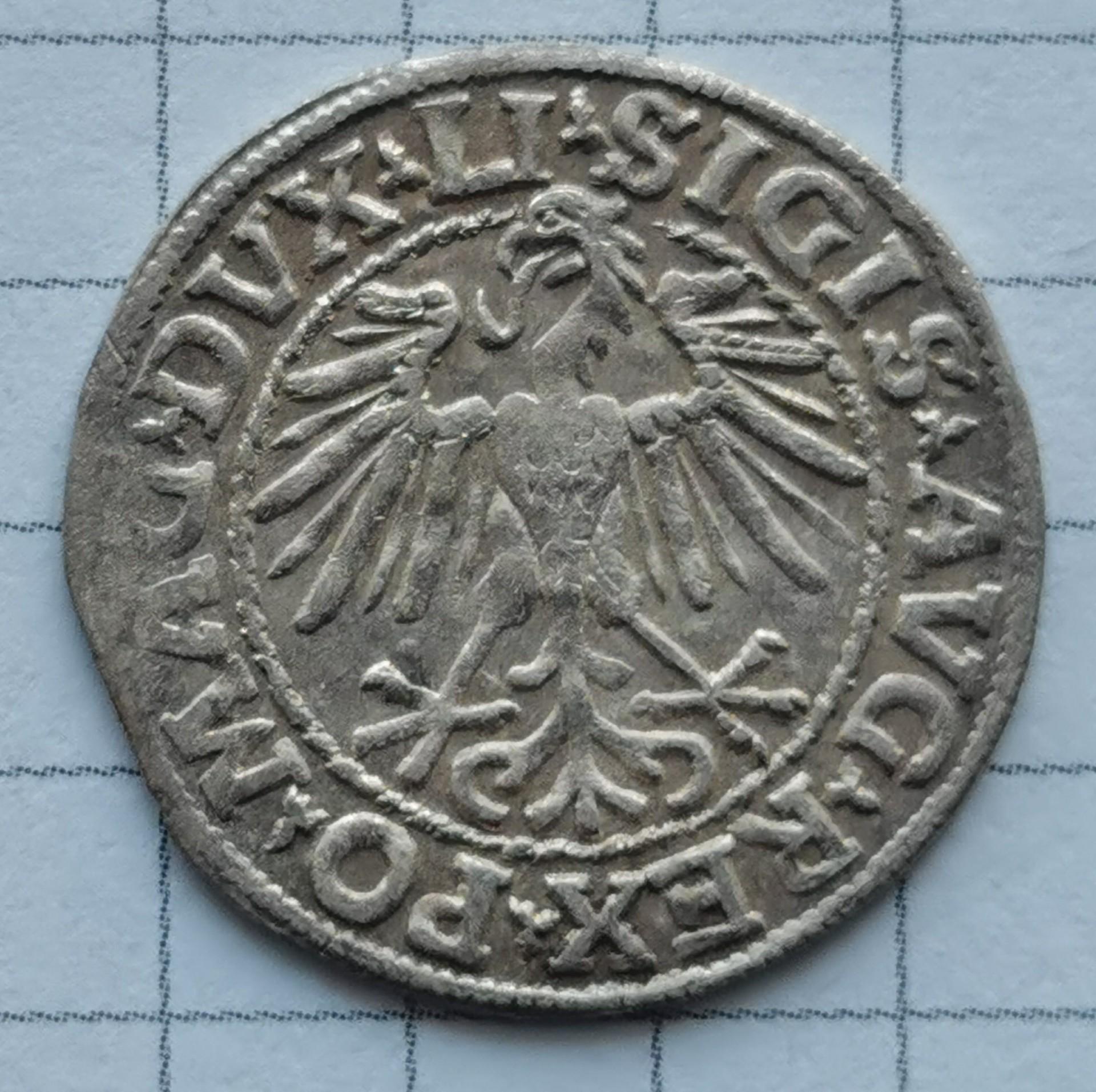 LDK Žygimantas Augustas, 1/2 grašio (pusgrašis) 1548 m., Vilnius 