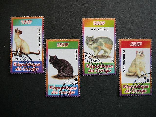 s593 Kates Kongas 2010 antsp. #k