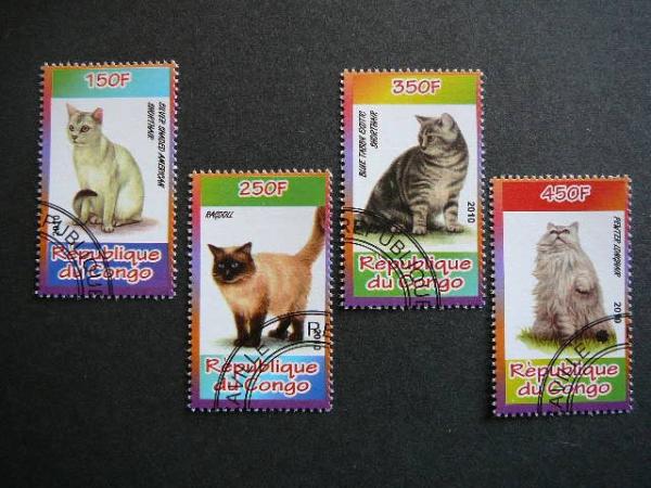 s594 Kates Kongas 2010 antsp. #k