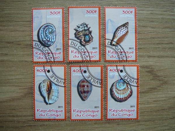 s906 Kriaukles Kongas 2011 antsp. #11