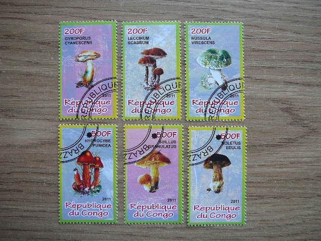 s909 Grybai Kongas 2011 antsp. #22