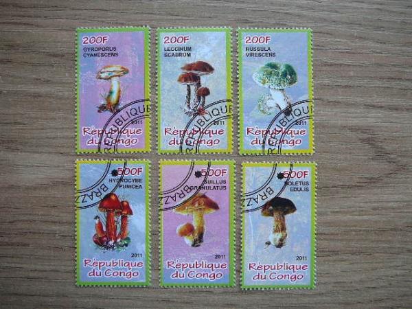 s909 Grybai Kongas 2011 antsp. #22