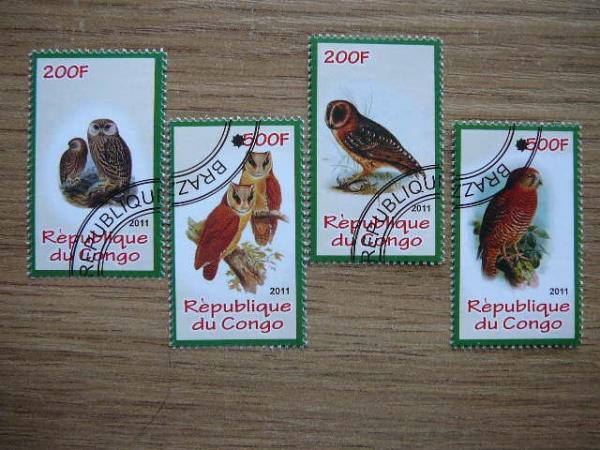 s915 Peledos Pauksciai Kongas 2011 antsp. #