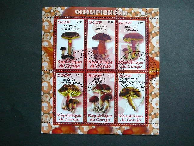 s947 Grybai Kongas 2011 antsp.