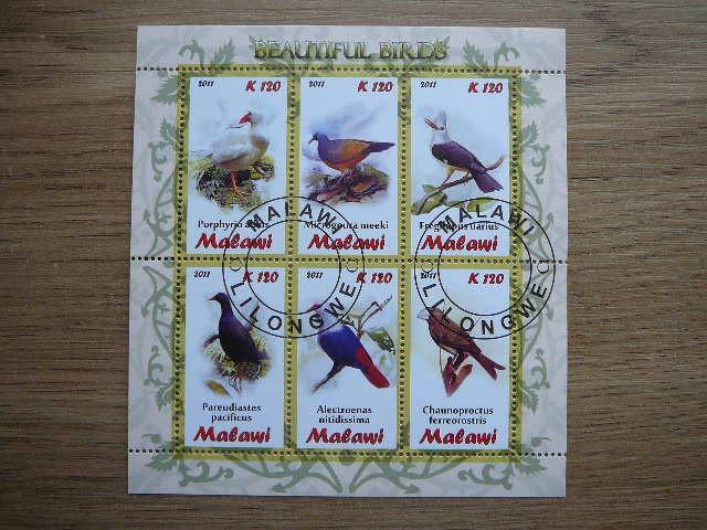 s987 Pauksciai Malavis 2011 antsp. #