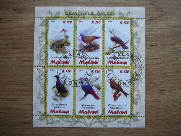 s987 Pauksciai Malavis 2011 antsp. #