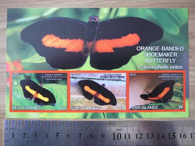 Drugeliai 2010 svarus #ferr51