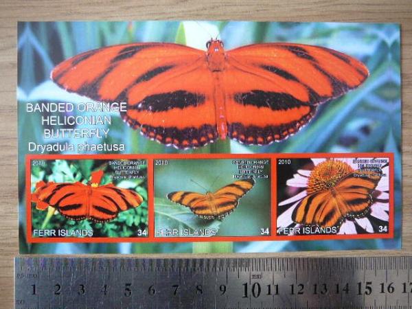 Drugeliai 2010 svarus #ferr53