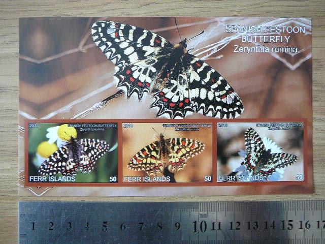 Drugeliai 2010 svarus #ferr55