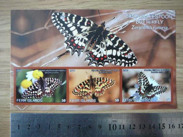 Drugeliai 2010 svarus #ferr55