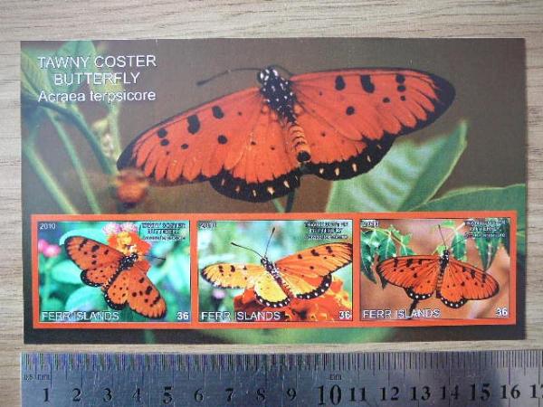 Drugeliai 2010 svarus #ferr59