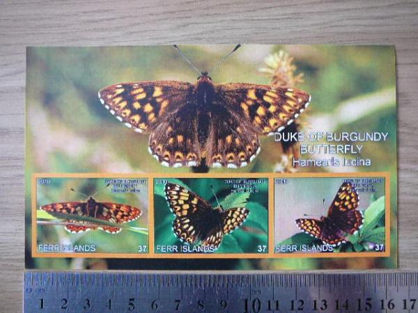 Drugeliai 2010 svarus #ferr62