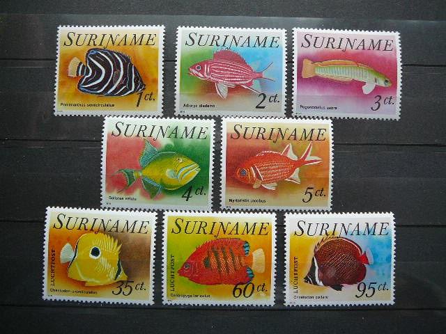 Zuvys Surinamas 1976 svarus #1