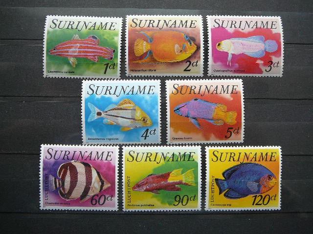 Zuvys Surinamas 1977 svarus #2