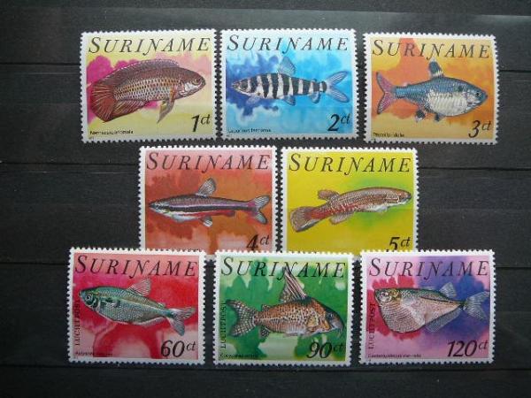 Zuvys Surinamas 1978 svarus #3