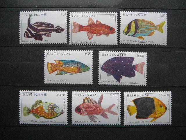 Zuvys Surinamas 1979 svarus #4