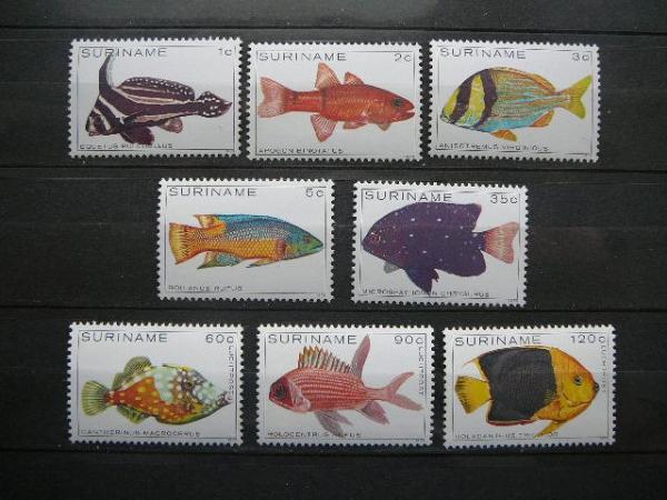 Zuvys Surinamas 1979 svarus #4