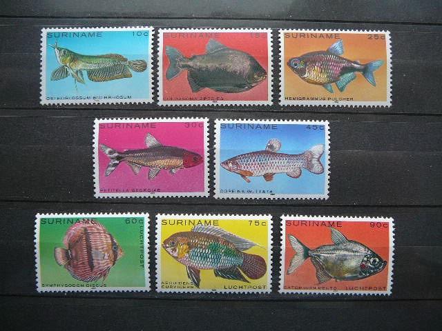 Zuvys Surinamas 1980 svarus #5