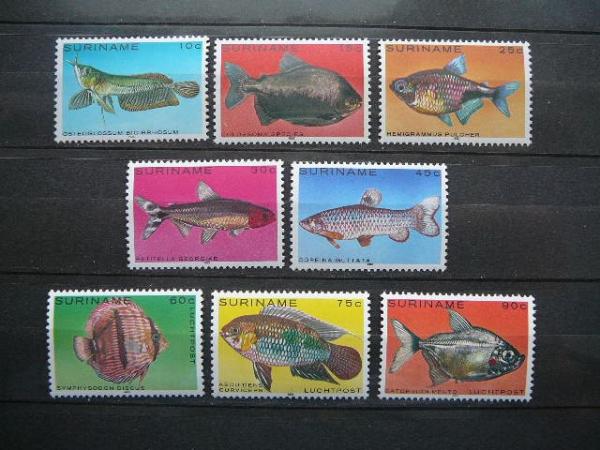 Zuvys Surinamas 1980 svarus #5