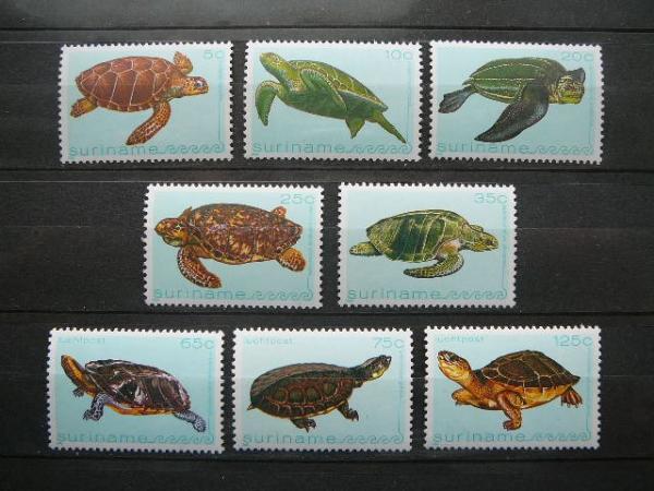 Vezliai Surinamas 1982 svarus #14