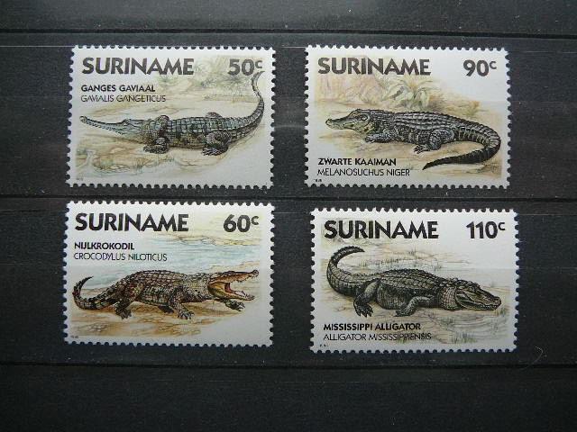 Krokodilai Surinamas 1988 svarus #2